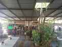 Salón de fiestas Infantiles La Ola en Cajeme