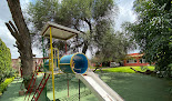 Salón de fiestas Infantiles Salon De Fiestas Infantiles Bosque Magico en Soledad de Graciano Sánchez